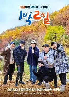 乘风破浪5 综艺海报